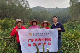 助农进行时：团队专家到漳溪乡进行柑橘品种改良服务